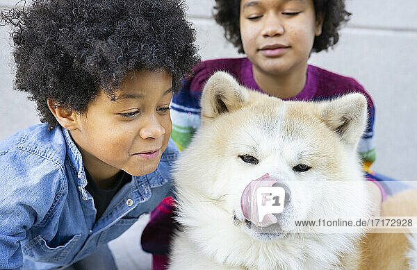 Junge schaut auf einen Hund  der seine Zunge herausstreckt  während er mit einem Mädchen im Hintergrund an der Wand sitzt