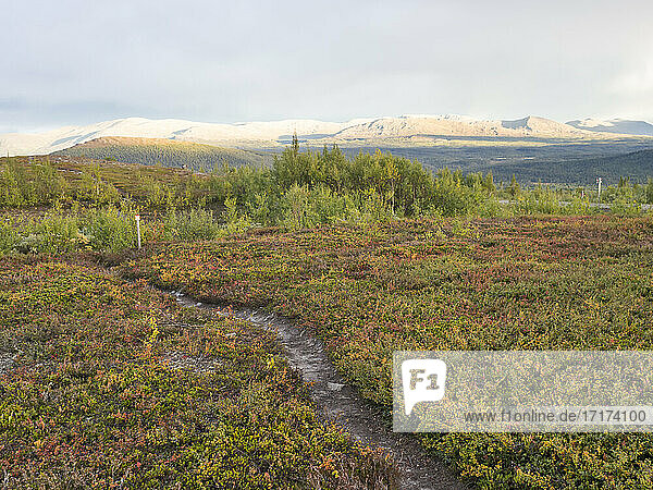 Path amidst Tundra field against mountains at Jamtland  Sweden