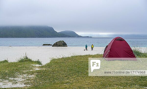 Wild camping at Hauklandstranda  beach by the sea with tent  Lofoten  Nordland  Norway  Europe