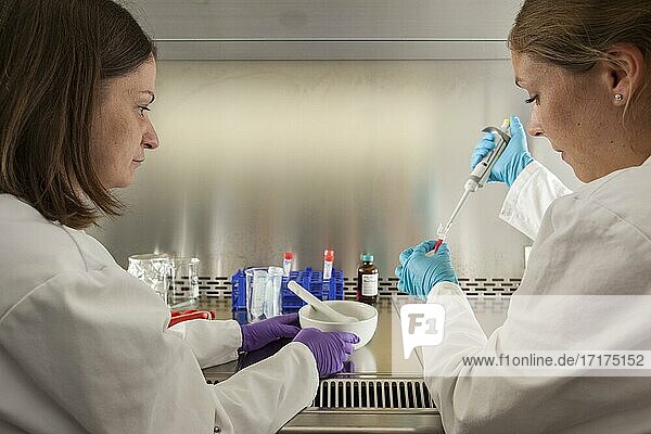 Wissenschaftlerinnen der Biologie während der RNA-Isolierung und gentechnischen Bereich der Laboratorien der Universität Duisburg-Essen