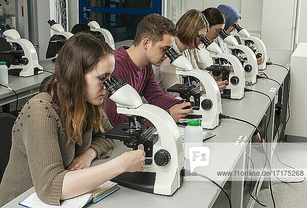Studenten beim Mikroskopierkursus in der Fakultät Biologie an der Universität Duisburg-Essen
