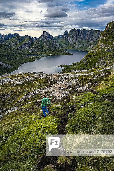 Hiker walks through mountain landscape  Forsfjorden  Moskenesöy  Lofoten  Nordland  Norway  Europe