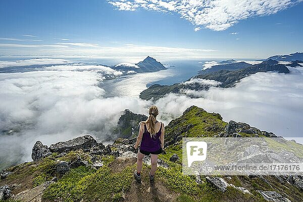 Hiker looking over mountain landscape in clouds  view from summit of Stornappstinden  Lofoten  Nordland  Norway  Europe