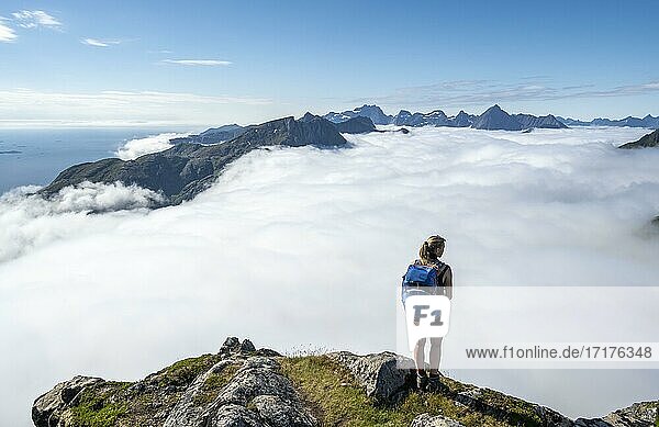 Hiker looking over mountain landscape in fog  view from the top of Stornappstinden  Lofoten  Nordland  Norway  Europe