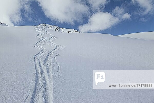 Two lonely ski tracks in front of a blue sky  Kühtai  Tyrol  Austria  Europe