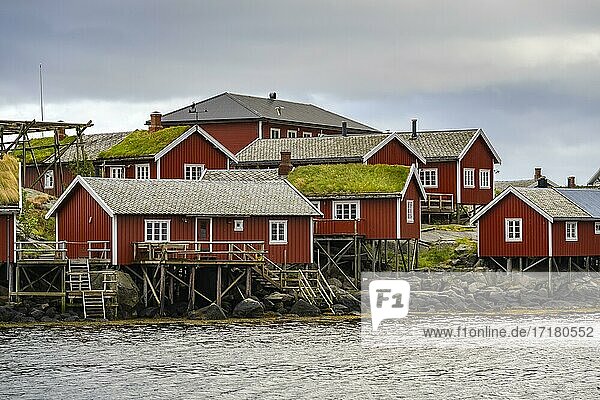 Rorbuer  typische Holzhäuser mit Grasdach  Reine  Moskenesöy  Lofoten  Nordland  Norwegen  Europa