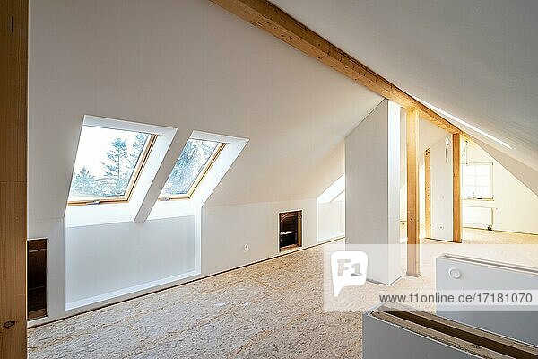 Conversion of an attic into a spacious living area  Germany  Europe