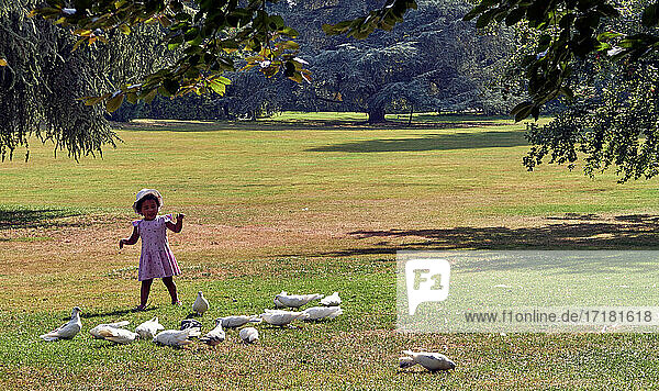 France. Rennes; city; Ille-et-Vilaine department  Brittany. The little girl in the hat running towards the doves in the so-called French gardens were created in 1866 by the Bühler brothers  gardeners and landscapers. The Thabor park  created in the 18th century  a stone's throw from the city center  is a public park built over more than ten hectares  the particularity of which is to combine a French garden  an English garden and a large botanical garden.