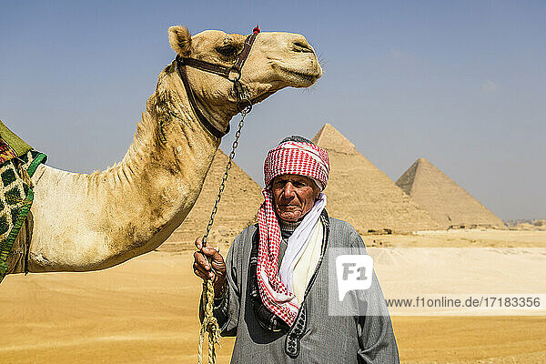 Drei Pyramiden  Monumente und Grabstätten der Pharaonen  ein Touristenführer hält ein Kamel