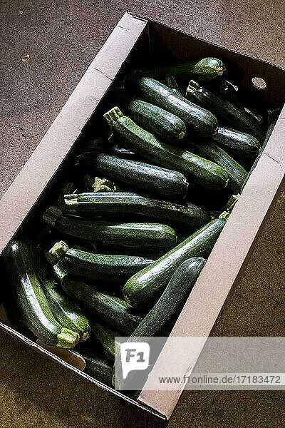 High angle close up of box of freshly picked courgettes.