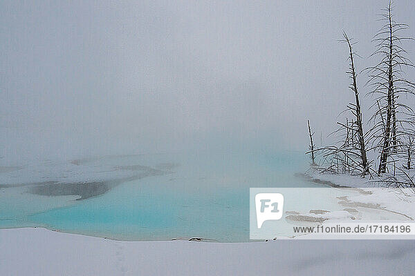 Blaue  in Nebel gehüllte Thermalquelle  Yellowstone National Park  UNESCO Weltkulturerbe  Wyoming  Vereinigte Staaten von Amerika  Nordamerika