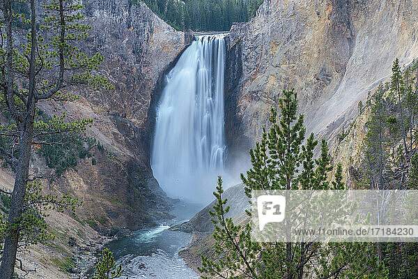 Lower Falls of the Grand Canyon eingerahmt in Bäumen  Yellowstone National Park  UNESCO Weltkulturerbe  Wyoming  Vereinigte Staaten von Amerika  Nordamerika