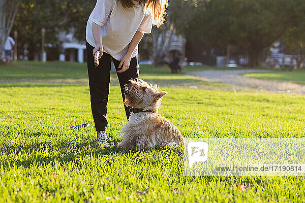Ein Mädchen spielt mit ihrem Hund in einem Stadtpark von Buenos Aires