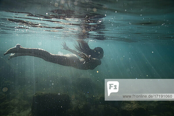 Das Weibchen schwimmt unter der Oberfläche des klaren  seichten Ozeans davon