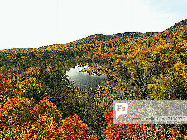 Lake in Colorful Autumn Adirondack Forest from Above
