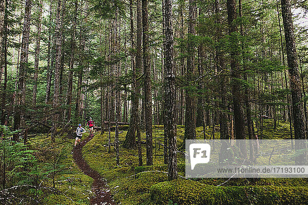 Zwei Trailrunner laufen auf einem gewundenen Singletrail durch einen üppigen Wald