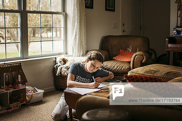 Girl homeschooling in living room with dog sleeping in background