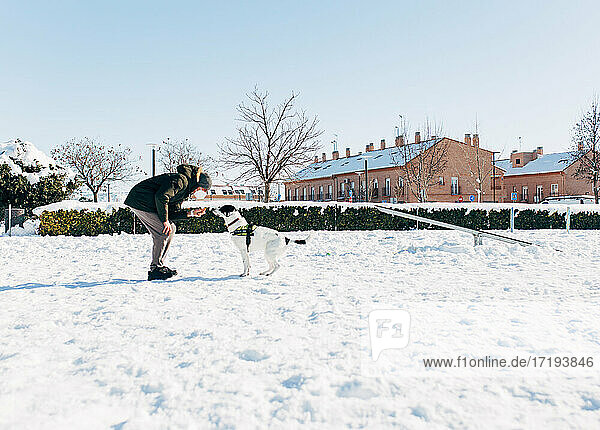 Man training his dog in the snow