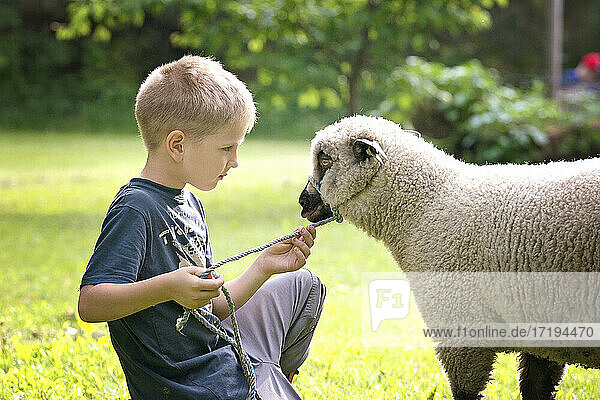 Niedlicher kleiner blonder Junge mit einem Lamm im Freien.