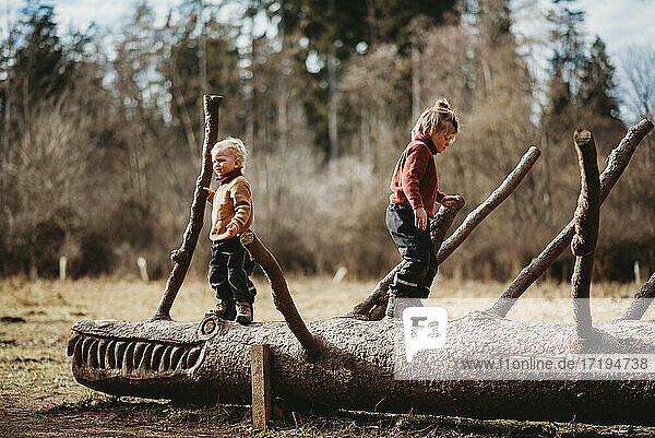 Brothers walking on a sculpted log in the forest on a sunny winter day