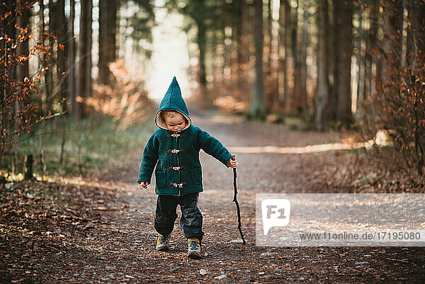 Kleines Kind  das an einem sonnigen Herbsttag mit einem Stock im Wald spazieren geht