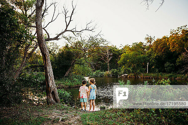 Young brother and sister standing at edge of lake looking for fish