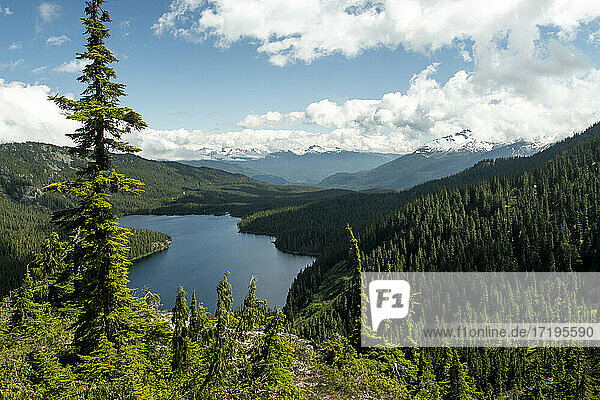 Grüne Nadelbäume wachsen in der Nähe eines friedlichen Sees in den Bergen gegen den bewölkten Himmel in Whistler  Kanada