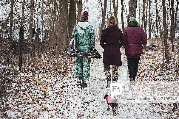 Drei Freunde und zwei kleine Hunde in Deutschland gehen im Winter in den Wald