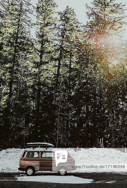 VW Van vor hohen immergrünen Bäumen mit Schnee und Sonnenschein geparkt