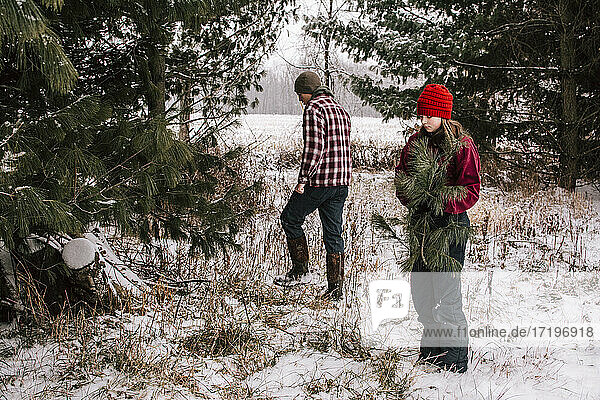 Junge und Mädchen in einem schneebedeckten Feld sammeln Tannenzweige