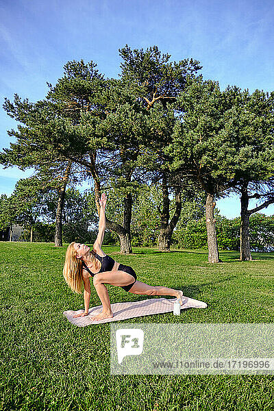 Weiblicher Yogi macht eine gedrehte Dreieckspose draußen an einem sonnigen Tag im Park