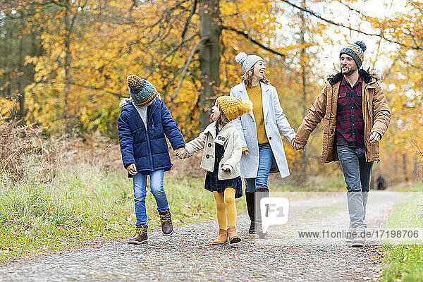 Geschwister schauen sich an  während sie mit ihren Eltern im Wald spazieren gehen