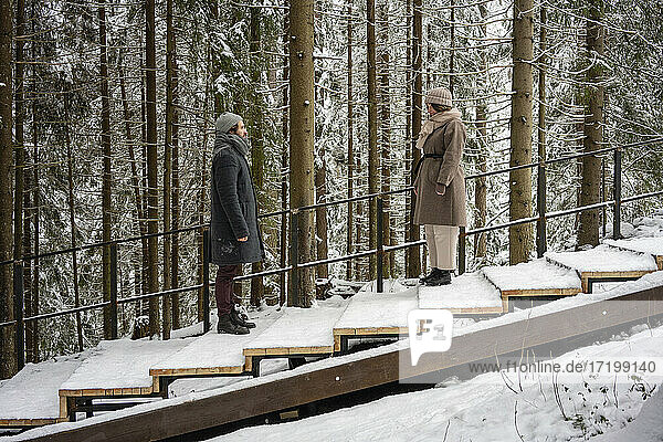 Paar schaut sich an  während es auf einer Treppe im Wald steht