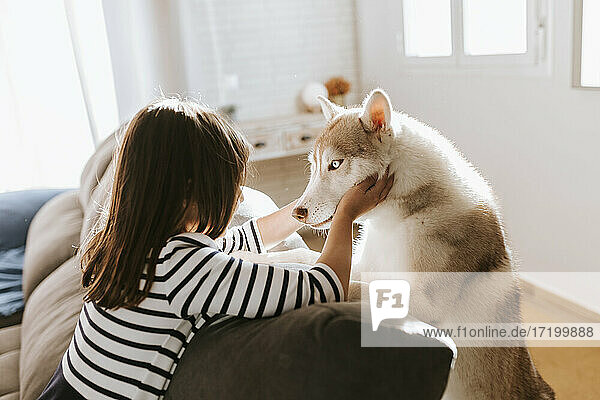 Mädchen streichelt Siberian Husky  während sie sich zu Hause auf das Sofa lehnt