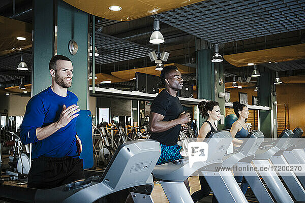 Männliche und weibliche Sportler beim Training auf dem Laufband im Fitnessstudio