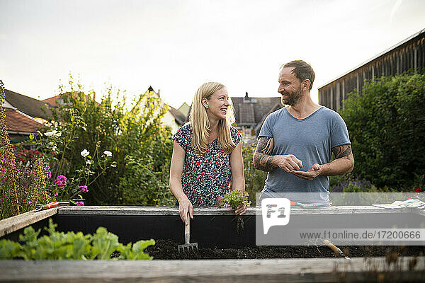 Smiling couple doing gardening while discussing at garden