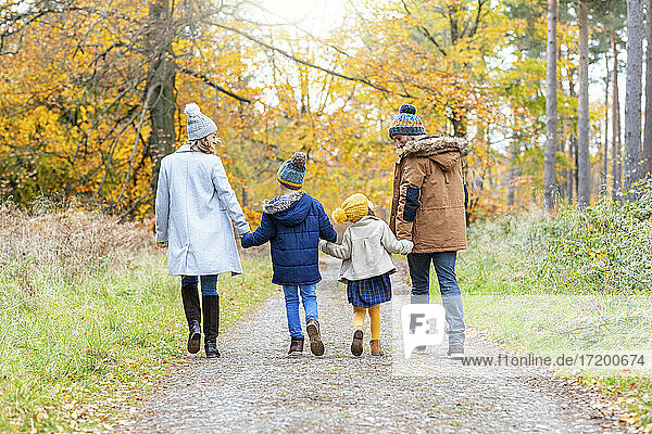 Parents holding hands of children while walking on forest path