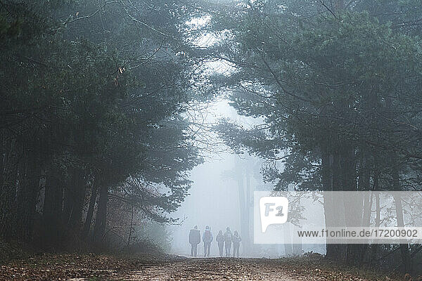 Gruppe von Menschen wandern im nebligen Herbstwald