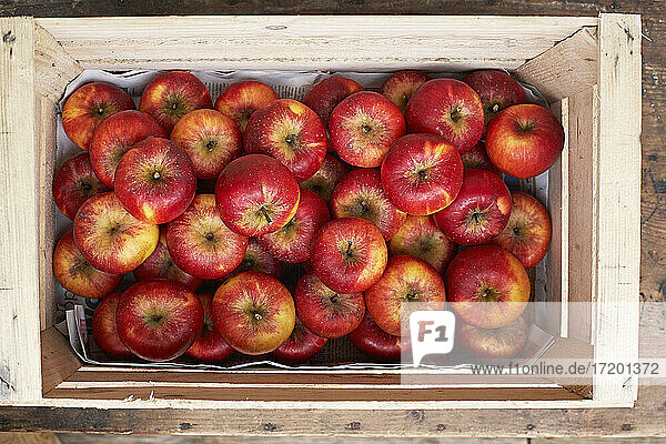 Kiste mit roten reifen Äpfeln