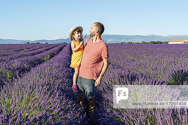 Father carrying baby daughter in vast lavender field during summer