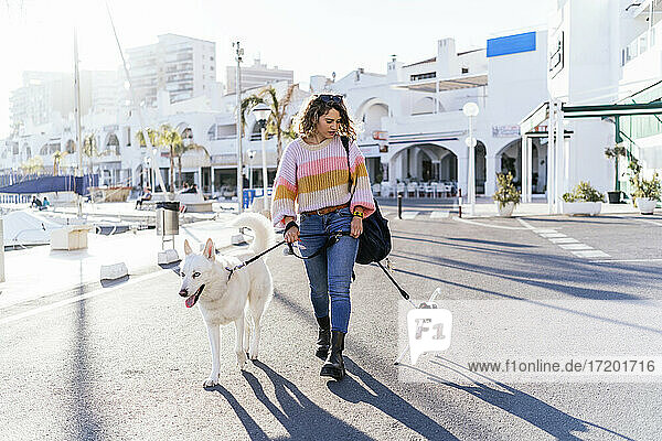 Woman amidst Siberian Husky and Jack Russell Terrier walking on road in city