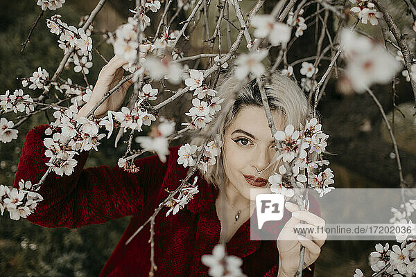 Lächelnde blonde Frau hält einen Zweig eines blühenden Mandelbaums im Frühling
