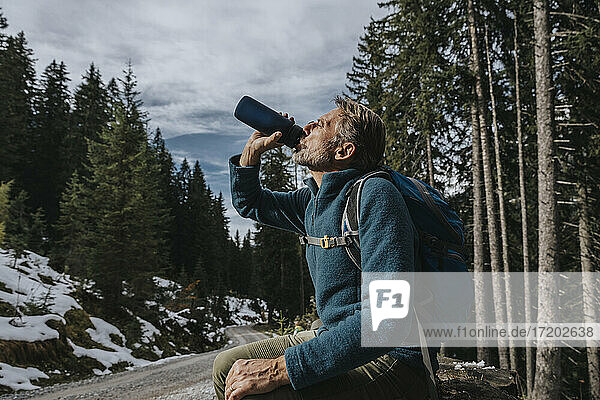 Männlicher Tourist trinkt Wasser  während er an einem Baum im Salzburger Land  Österreich  sitzt