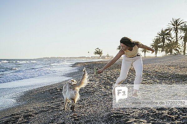 Frau spielt mit Hund auf Sand am Meer gegen den Himmel am Wochenende