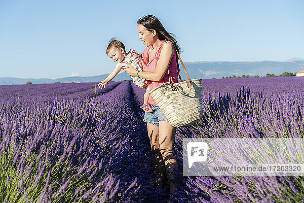 Mother carrying baby daughter in vast lavender field during summer
