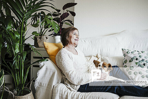 Smiling woman with Jack Russell Terrier looking away while sitting on sofa at home