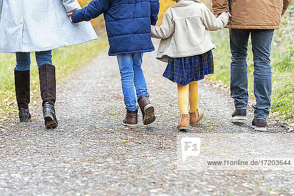 Familie  die sich gegenseitig an den Händen hält  während sie auf einem Waldweg spazieren geht