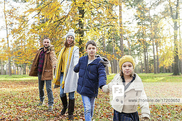 Familie hält sich gegenseitig an den Händen beim Spaziergang im Wald