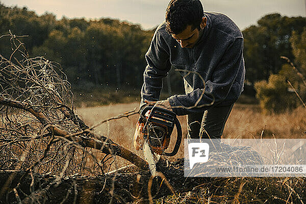 Jugendlicher schneidet Holz mit Kettensäge im Wald