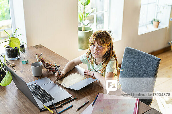 Serious redhead girl doing homework in front of laptop at home